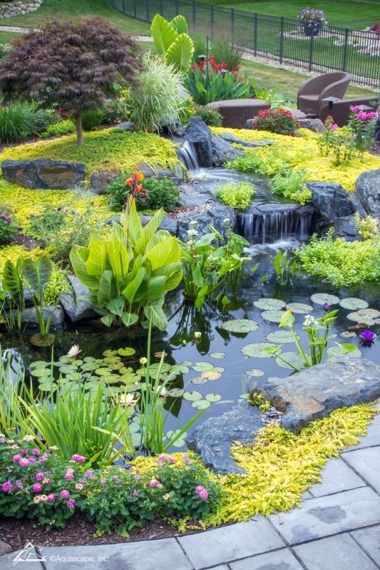 The Beauty of Garden Ponds: A Tranquil Oasis for Your Outdoor Space