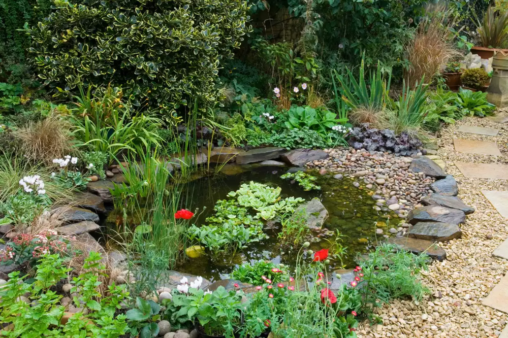 garden ponds