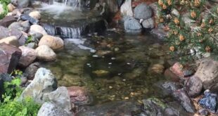 garden waterfalls