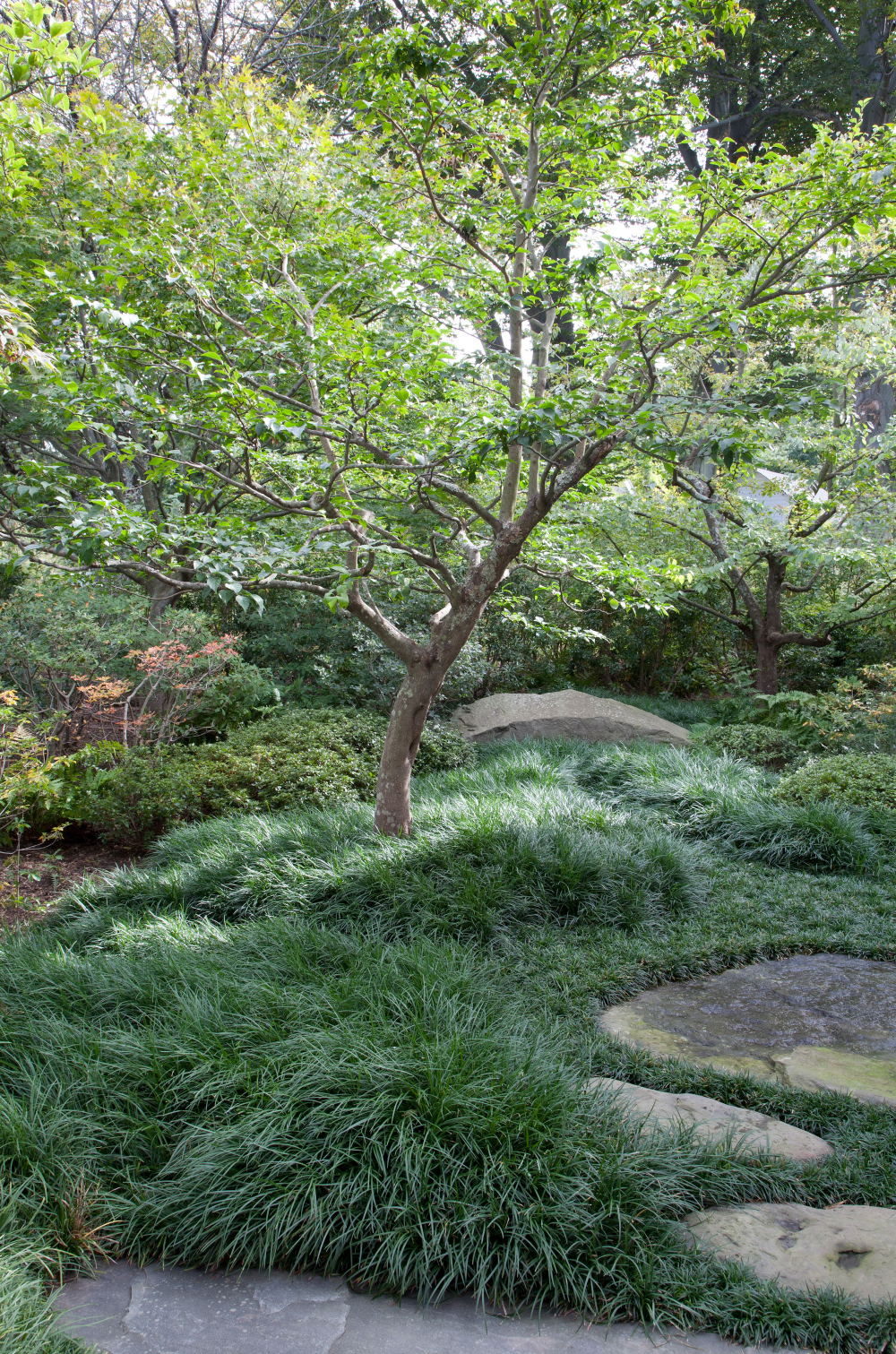 The Beauty of Japanese Gardens: An Oasis of Tranquility