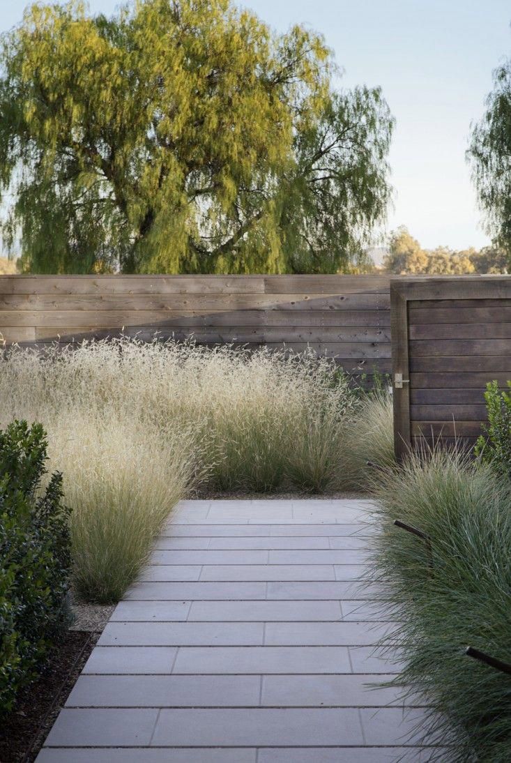 The Beauty of Landscaping Grass Varieties