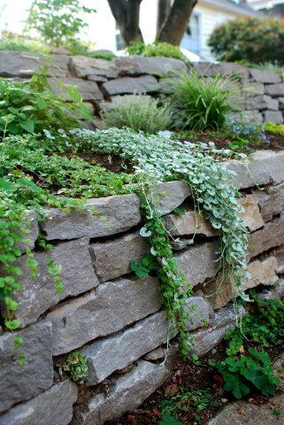 The Beauty of Landscaping Stones: A Guide to Enhancing Your Outdoor Space