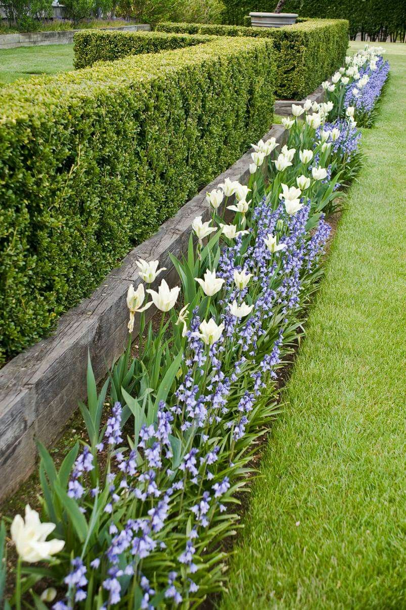 The Beauty of Lush Garden Hedges: A Natural Boundary for Your Outdoor Space