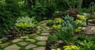 garden pathway