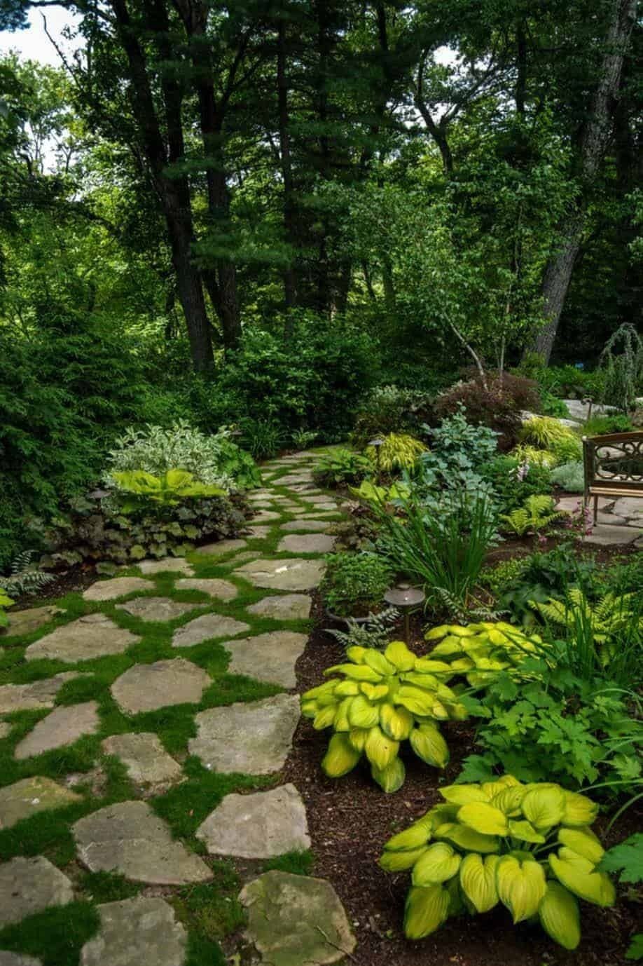 The Beauty of Meandering Paths in Gardens