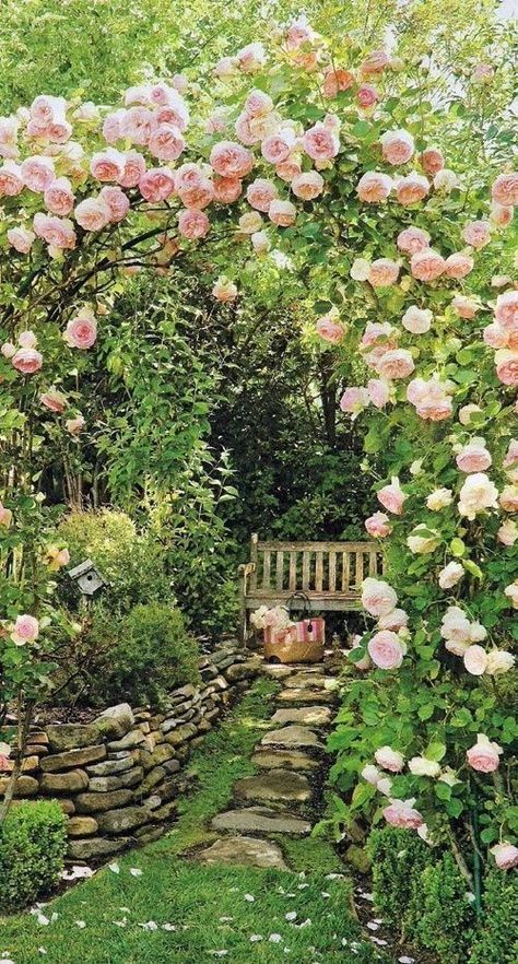rose garden design