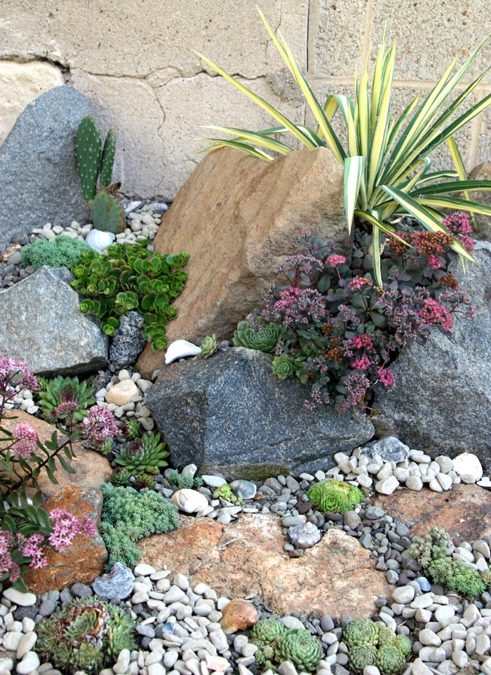 The Beauty of Rock Gardens: A Natural Oasis for Your Outdoor Space