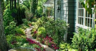 patio gardens