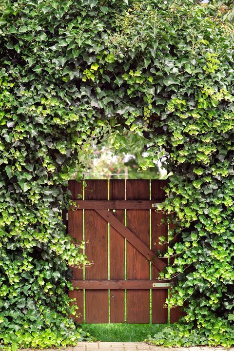 The Beauty of Traditional Wooden Garden Gates