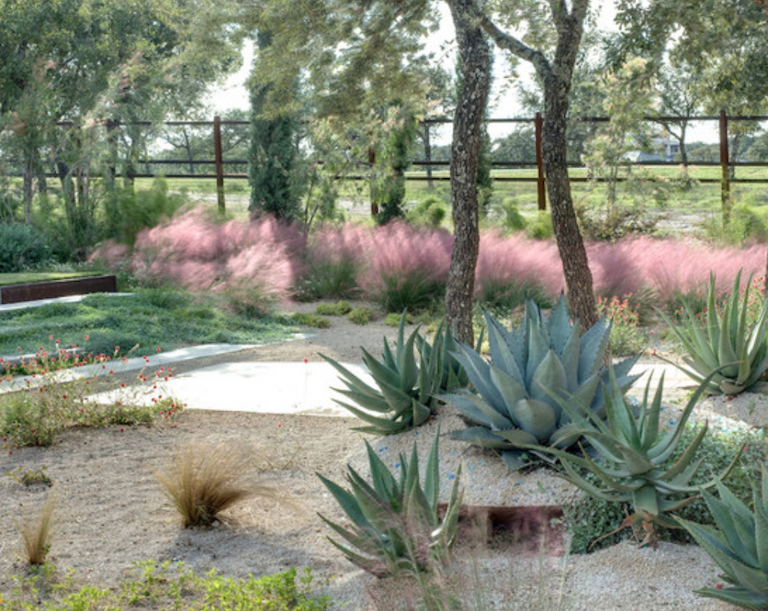 landscaping grasses