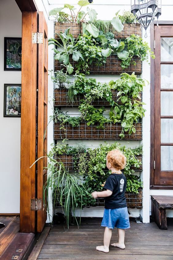 The Beauty of Vertical Gardens: A Flourishing Oasis of Greenery