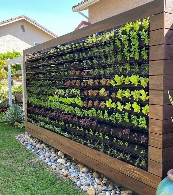 The Beauty of Vertical Gardens: Bringing Nature Upwards