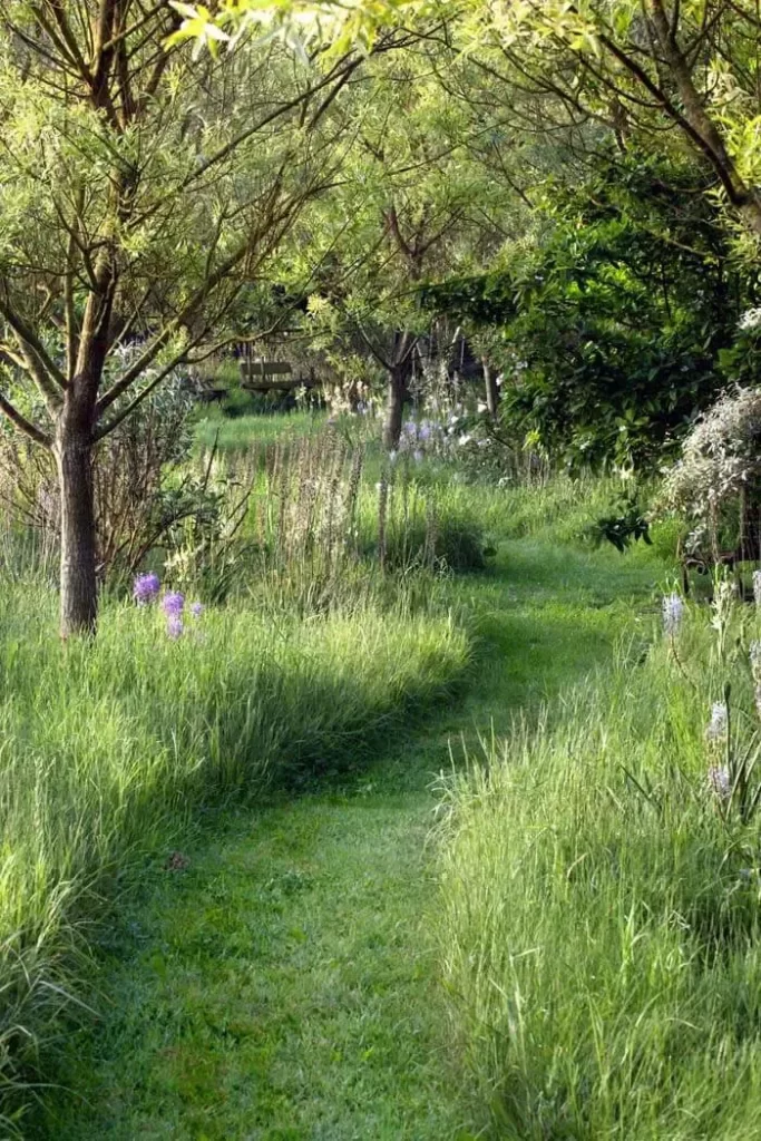 garden pathway