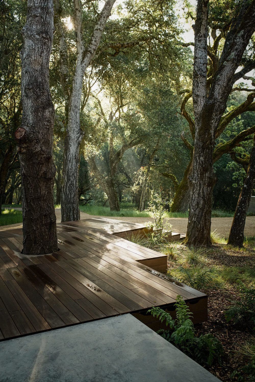 The Beauty of Wooden Decks: Enhancing Your Outdoor Space