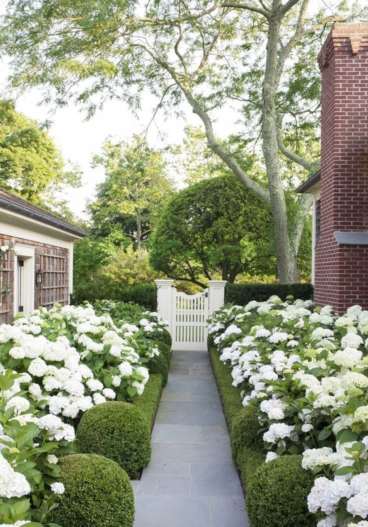 The Beauty of a Front Yard: Creating a Welcoming Outdoor Space