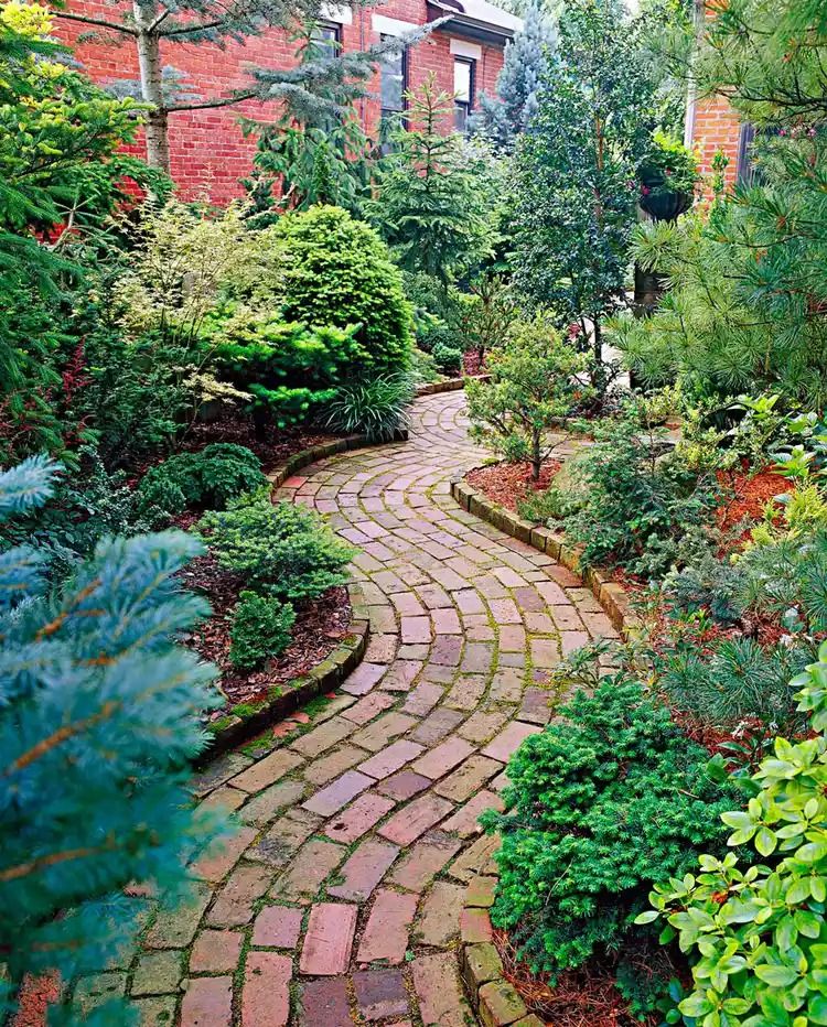 The Beauty of a Garden Pathway