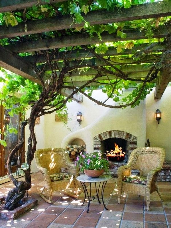 grape arbor