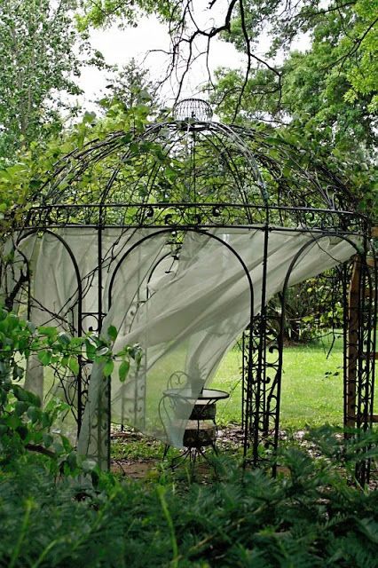 The Beauty of a Grape Arbor: A Natural Canopy for Your Garden