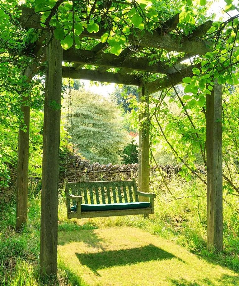 The Beauty of a Grape Arbor: A Tranquil Retreat in the Garden