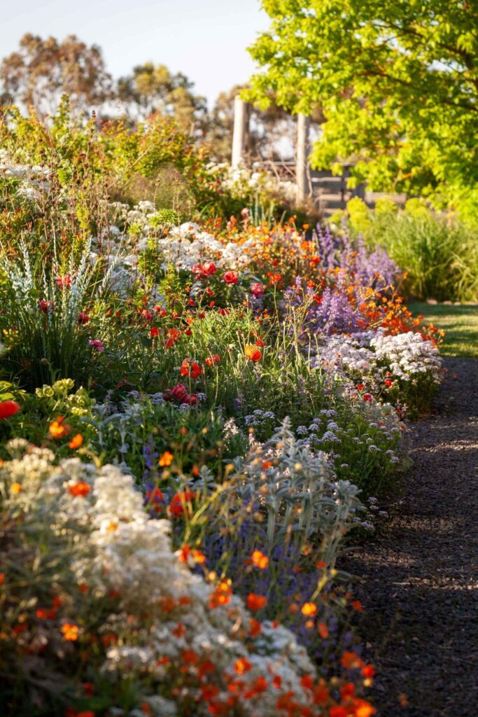 raised flower beds