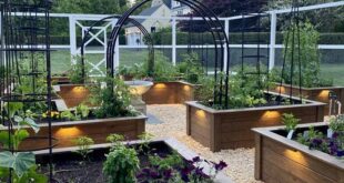 raised garden beds