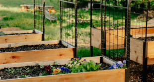 elevated garden beds