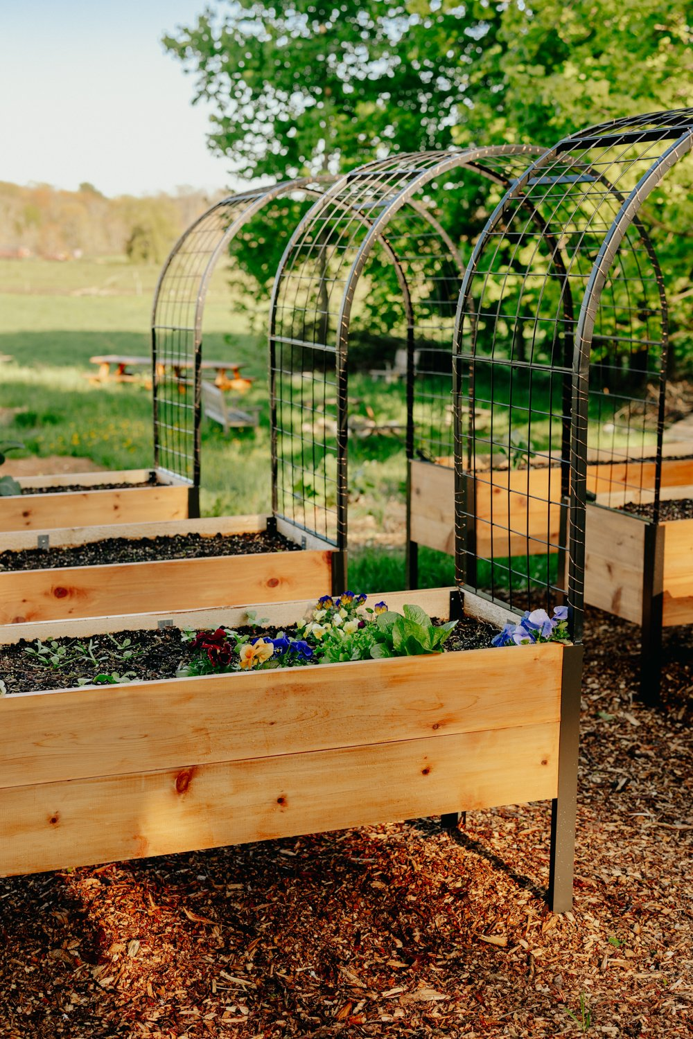 The Benefits of Raised Garden Beds for Your Plants