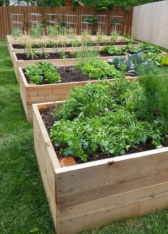 The Benefits of Using Garden Planters to Elevate Your Green Space