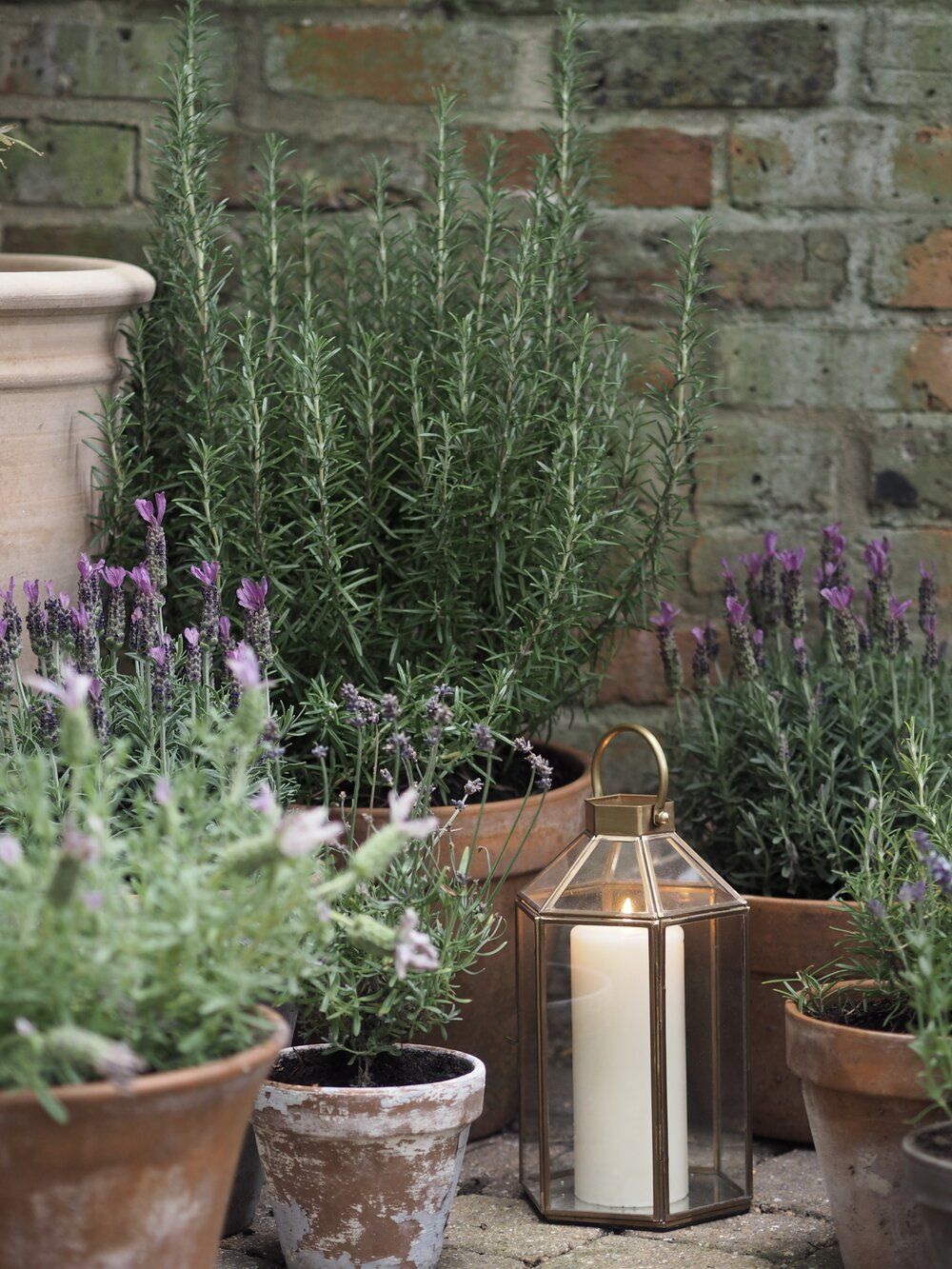 The Charm of Compact Outdoor Gardens: A Guide to Patio Gardens