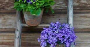 rustic garden planters