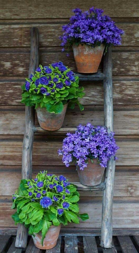 The Charm of Rustic Garden Planters