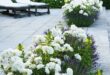 small garden in front of house