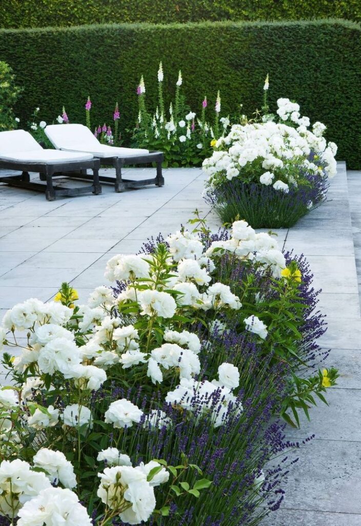 small garden in front of house