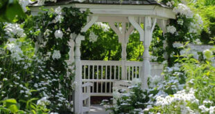 white gazebo