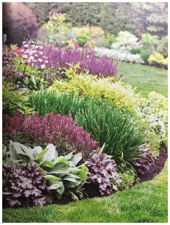 The Essential Guide to Choosing Landscaping Plants for Your Front Yard