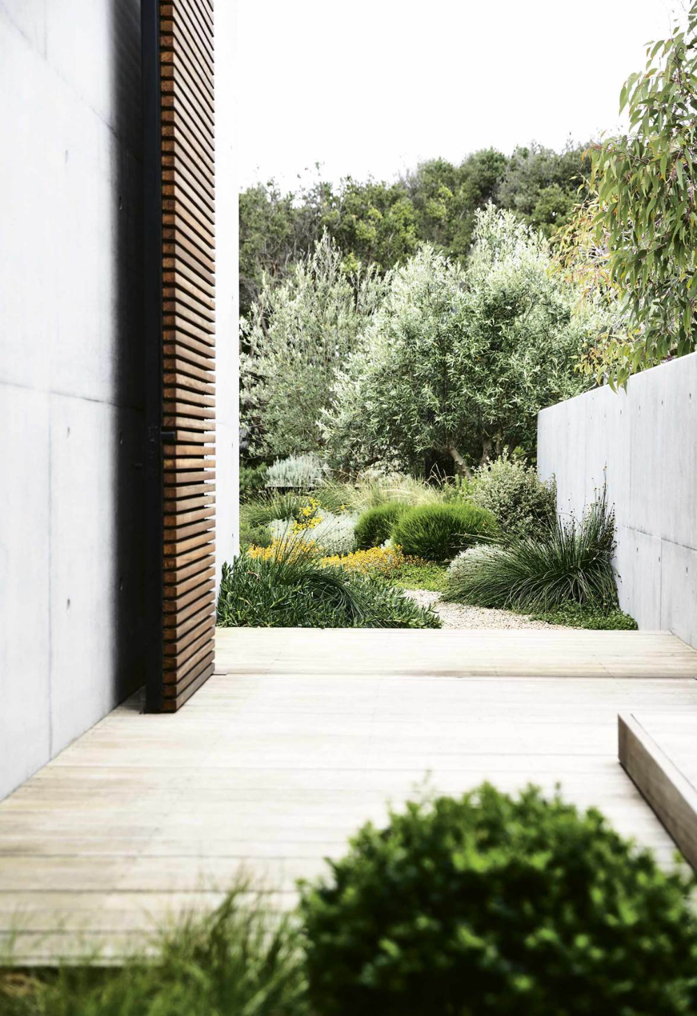 The Evolution of Contemporary Garden Layouts