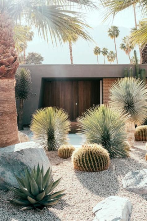 The Evolution of Contemporary Landscaping Designs