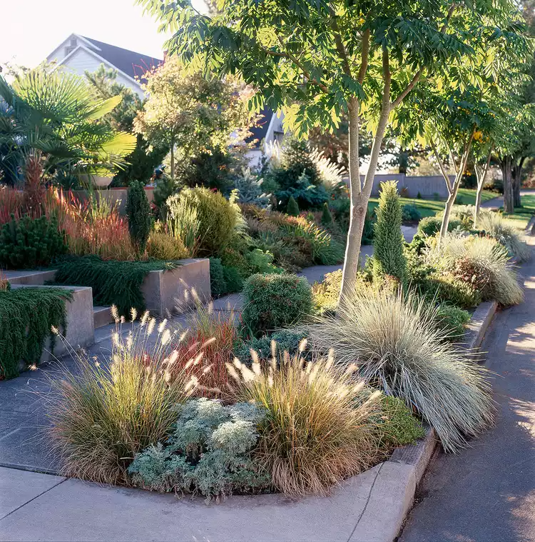 The Evolution of Front Yard Designs: Embracing Modern Trends