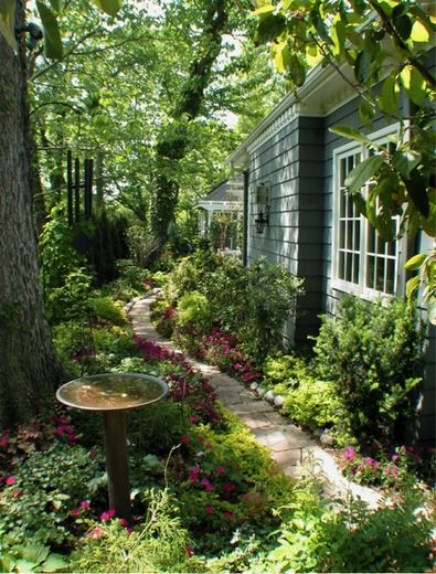 The Forgotten Space: Exploring the Beauty of the Side Yard