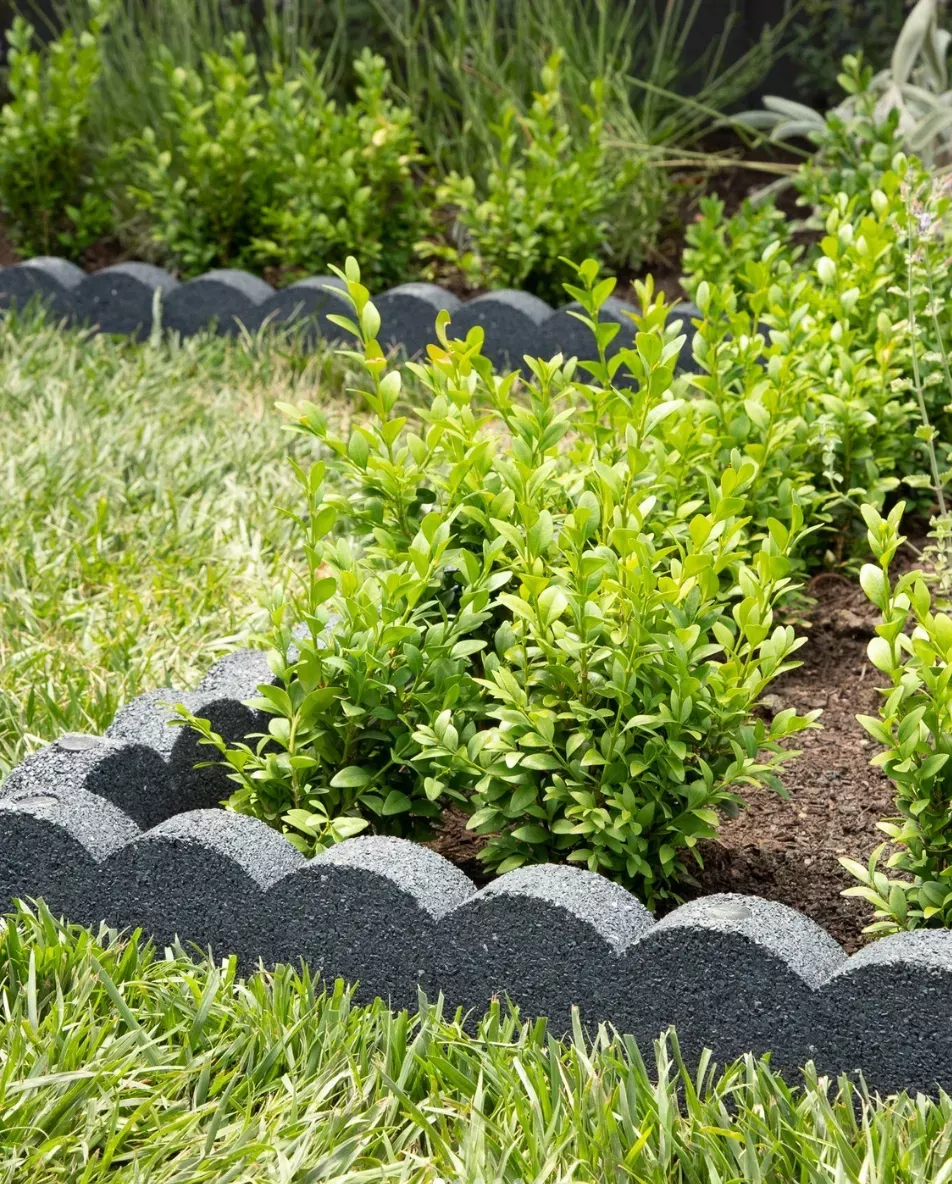 The Importance of Properly Edging Your Lawn