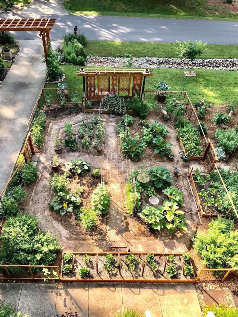 The Joy of Cultivating Your Own Backyard Garden