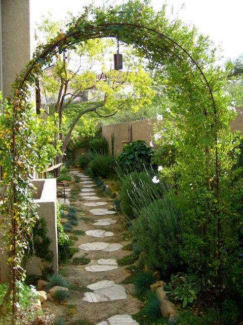 The Often Overlooked Space: The Beauty and Functionality of the Side Yard