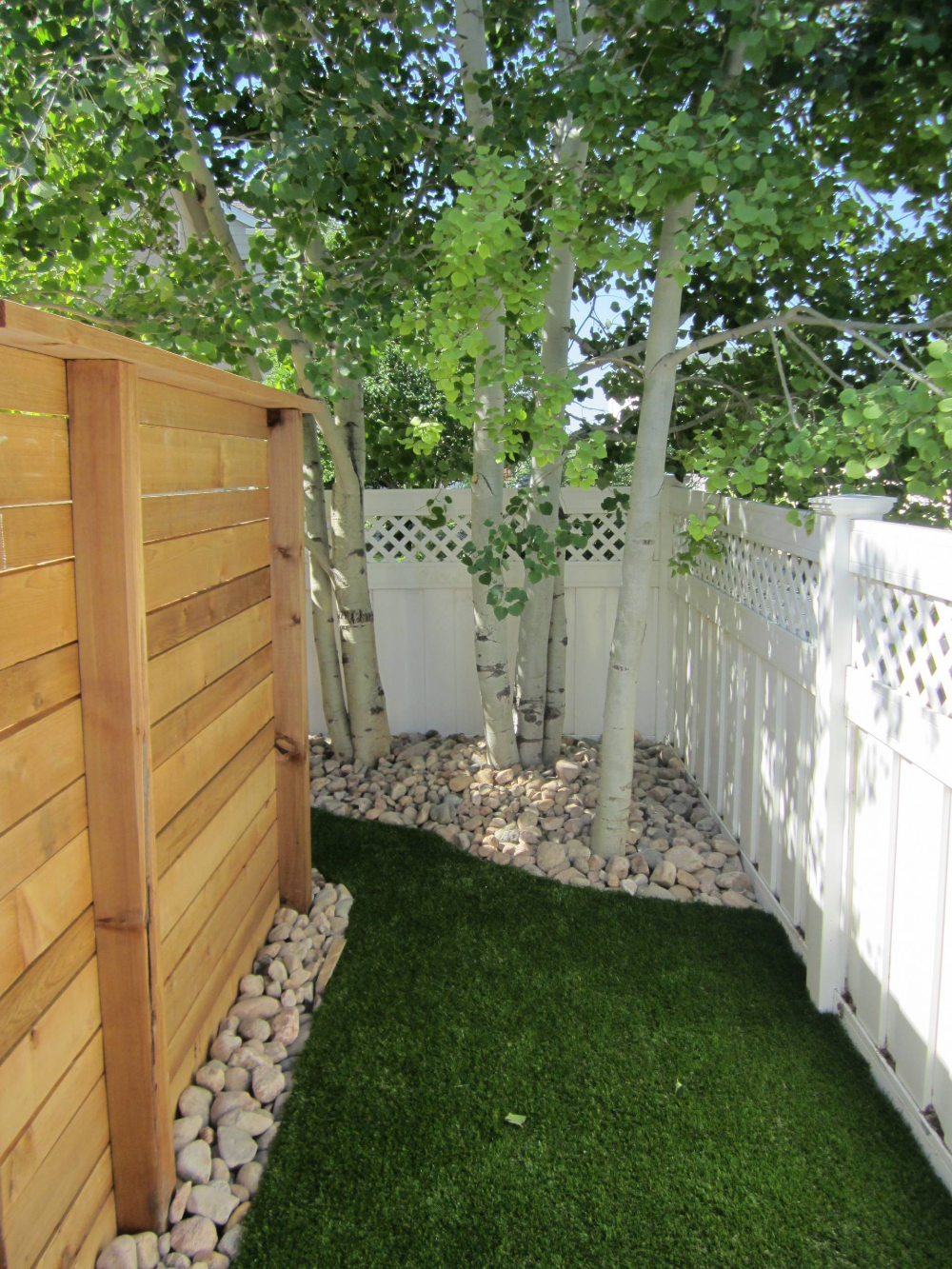 The Perfect Space for Your Dog to Run and Play: Creating a Side Yard Haven