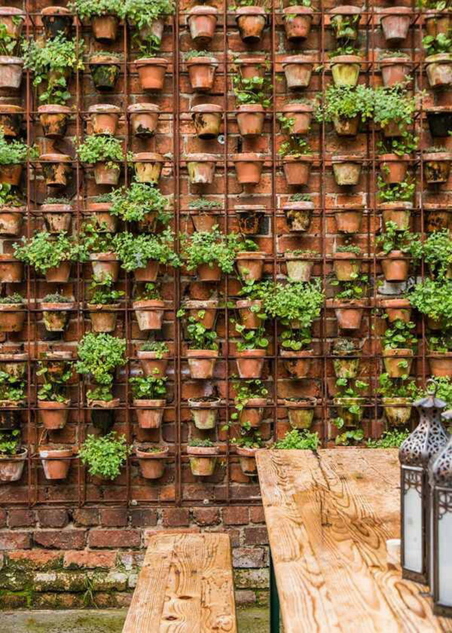 The Rise of Vertical Gardens: Growing Upwards for Greener Spaces