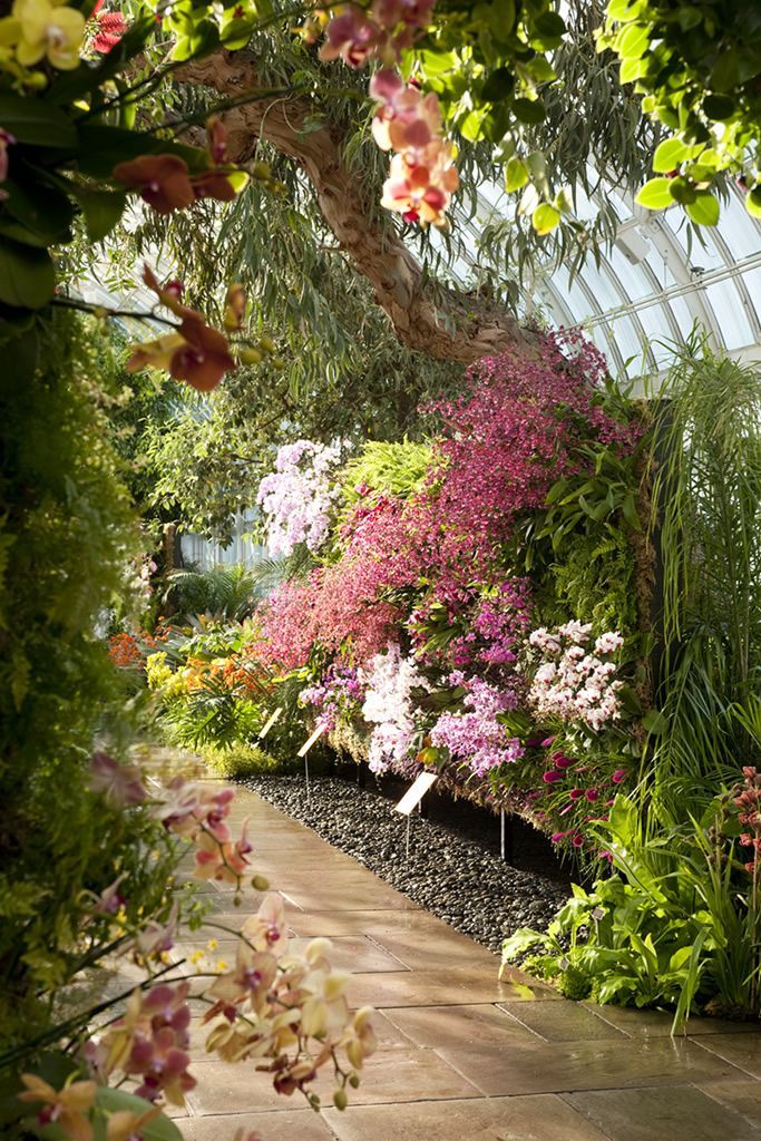 The Splendor of Botanical Gardens: A Oasis of Natural Beauty