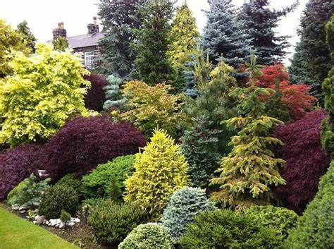 The Timeless Beauty of a Forever Green Front Yard