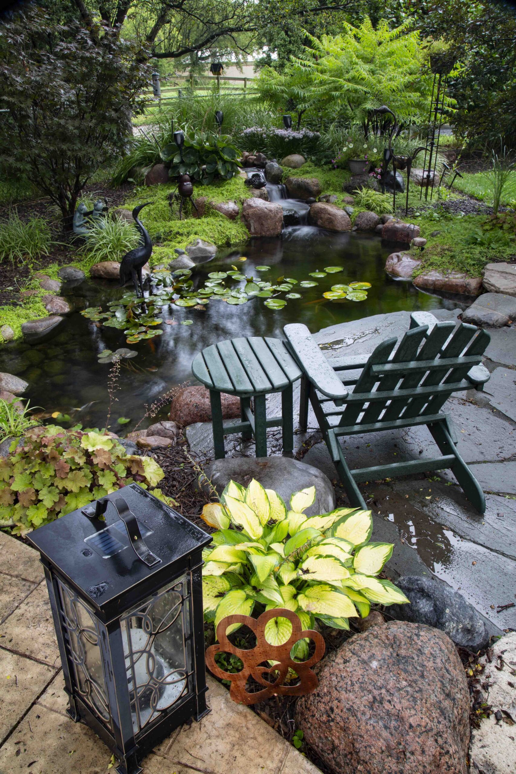 The Tranquil Beauty of Backyard Ponds