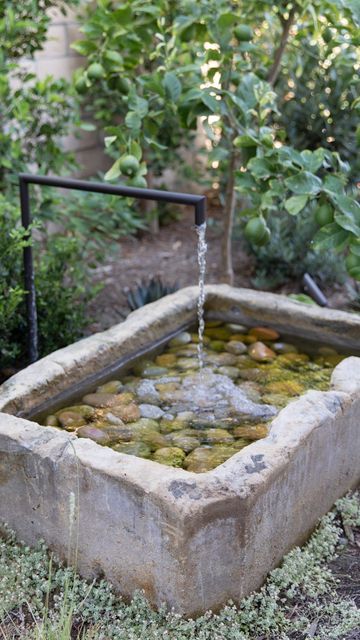 The Tranquil Beauty of Garden Fountains