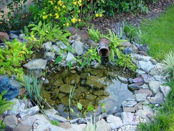 The Tranquility of Backyard Ponds: A Peaceful Oasis in Your Own Yard