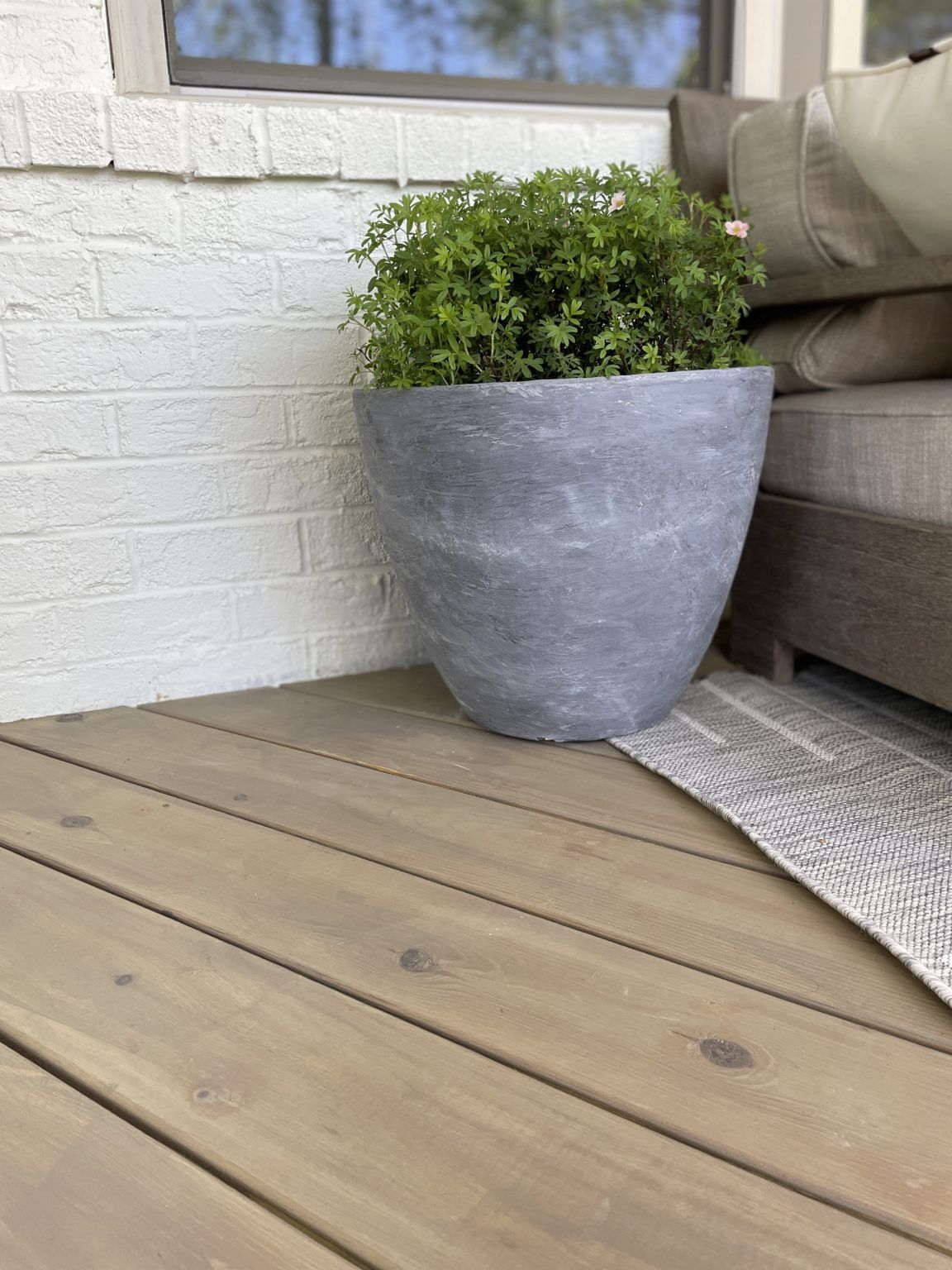 The Ultimate Guide to Choosing Decking Wood